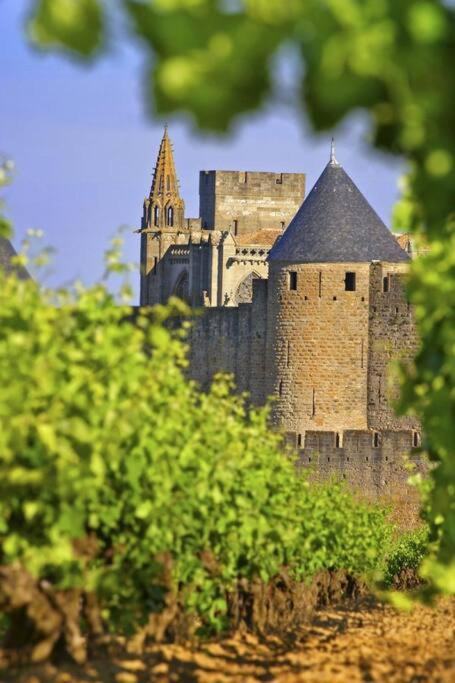 Domaine Villecarla Villedubert Экстерьер фото